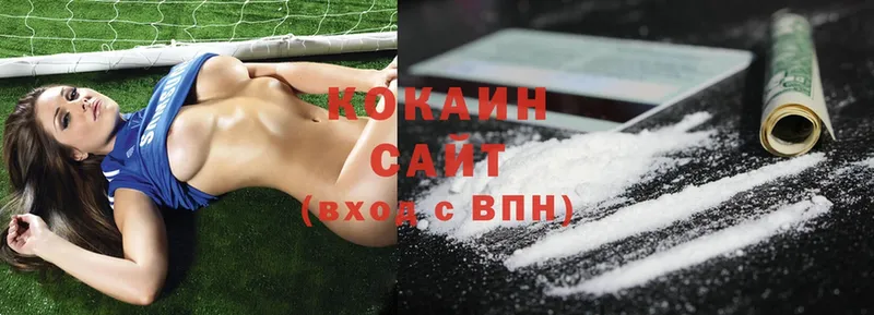 Cocaine FishScale  купить   Гороховец 